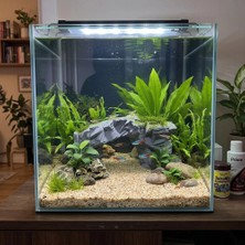 Kanki Pet 3D Petg Akvaryum Kaya Taş Köprü Dekoru Batabilen Süs KP3D20113