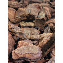 Brf Store Yavuzsell Sosc Natural Dekoratif Çam Kabuğu, Kahverengi, 2-4 Cm, 3 Litre, Organik, Drenaj Düzenleyic