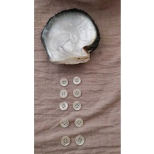 ILCARE Doğal Trokas Hakiki Inci Midye Kabugu  Sedef  Düğme 14 mm 10 Adet