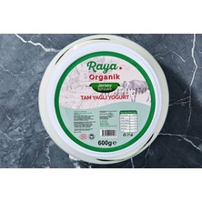 Montreal Tam Yağlı Jersey Sütünden Yoğurt 600 G ( 1 Adet )