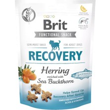 Brf Store Yavuzsell Brit Care Functional Snack Yara Iyileşmesini Hızlandırmak Için, Tahılsız, Ringa Balıklı ve