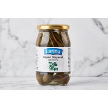 Montreal Kapari Meyvesi 350 G ( 1 Adet )