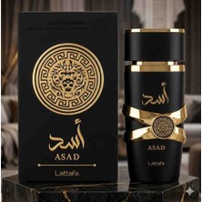 Asad Erkek Parfümü 100 ml