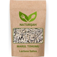 Naturşah Marul Tohumu 1 kg / Lactuca Sativa