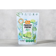 Montreal Freeze Fresh Tropikal Seri Dondurulmuş Lime 20 G ( 1 Adet )