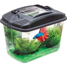 Brf Store Yavuzsell Aquael Betta Kit