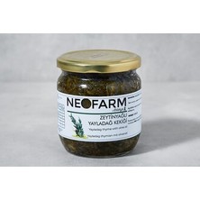 Montreal Zeytinyağlı Yayladağ Kekiği 390 G ( 1 Adet )