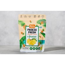 Montreal Freeze Fresh Tropikal Seri Dondurulmuş Ananas 20 G ( 1 Adet )