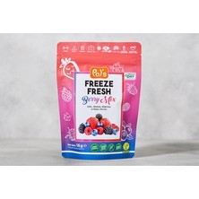 Montreal Freeze Fresh Berry Mix Dondurulmuş Meyve 16 G ( 1 Adet )