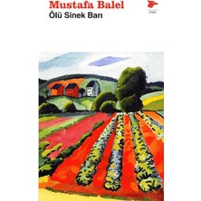 Alakarga Sanat Yayınları Ölü Sinek Barı