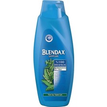 Bg Store Isırgan Özlü Şampuan 500 ml Dökülmeye Eğilimli Saçlar Için