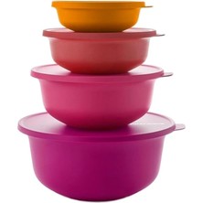 Tupperware Tupperware 4'lü Aloha Buzdolabı Saklama Kabı Seti 450 ml 1 Lt 2 Lt, 4 Lt