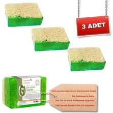 Hepta Collection Organicsun Doğal Kabak Lifli Çay Ağacı Sabunu 120 gr x 3 Adet Tüm Cilt Tipleri Için Sivilce ve Siyah