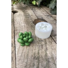 Bg Store Concept Moonstone Sukulent Mum Kalıbı (Silikon)