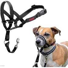 Renas Store Company Of Animals Halti Baş Tasması, Dolgulu Burun Bandı, Ayarlanabilir ve Yansıtıcı, Küçük Köpekler Için Profesyonel Çekme Önleyici Eğitim Yardımcısı (Boyut 0, Siyah)