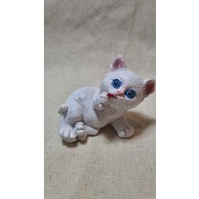Los Polyester Kedi Biblo