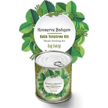 Renas Store Konserve Bahçem Evde Konservede Kekik Dağ Kekiği Yetiştirme Kiti