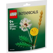 Bg Store Tarla Çiçekleri 30701