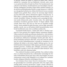 MarkEntegra Dünyanın Sonu: Erlend'in Kayıp Hikayeleri