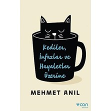Bg Store Kediler Infazlar ve Hayaletler Üzerine