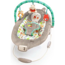 Hepta Collection Bright Starts Winnie The Pooh Dots & Hunny Pots Sallanan Bebek Titreşimli Bebek Koltuğu, Müzik ve 3