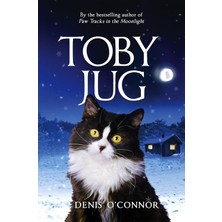 Bg Store Toby Jug