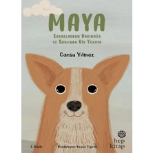 Renas Store Maya - Sokaklardan Barınağa ve Sonunda Bir Yuvaya