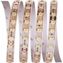 LTG Nova 5 Metre Cata Ct 4540 Iç Mekan 12V 120 Ledli Şerit LED 6500K Beyaz Işık