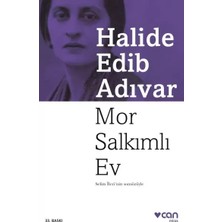 Renas Store Mor Salkımlı Ev