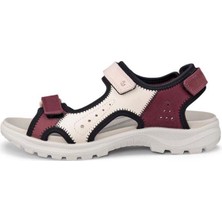Ecco Onroads