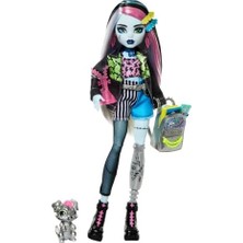 Bg Store High Acayip Havalı Arkadaşlar - Frankie Stein, 3y+, HXH73
