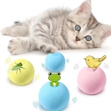Renas Store Kedi Otlu 3 Sesli Interaktif Top Kedi Oyuncağı