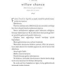 MarkEntegra Mucizeleri Saymak: Holly Goldberg'in Anlatımı