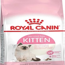 Renas Store 36 Yru Kedi Sı 1 kg