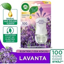 Bg Store Elektrikli Oda Kokusu Esansiyel Yağlar Cihaz + Yedek Şişe Lavanta