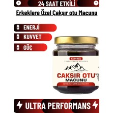 TeknoKapsül Değirmenci Ali Hatay Yöresi Çakşır Otu Macun + Plus 240 gr