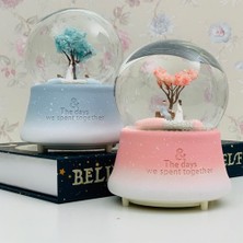 Renas Store Orta Boy Romantik Çiftler Temalı Kar Küresi