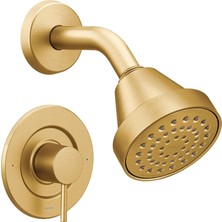 Moen T2192EPBG Yalnız Duş, Fırçalanmış Altın