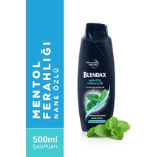 Bg Store Erkekler Için Mentol Ferahlığı Nane Özlü Şampuan, 500 ml