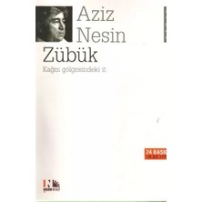 Renas Store Zübük