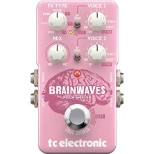 Hepta Collection Tc Electronic T.c Braınwaves Pıtch Shıfter