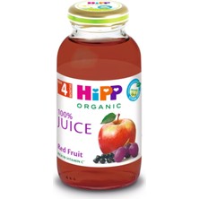 Hepta Collection Hipp Organik Kırmızı Meyveli Elma Suyu 200 ml