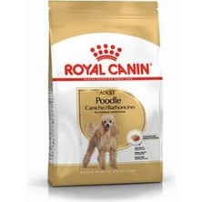 Kap Kaç Poodle Adult Yetişkin Köpek Maması 3 kg
