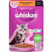 Bezos Pouch Sos Içinde Kümes Hayvanlı Yavru Kedi Konservesi 85 gr