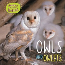 Bg Store Animals And Their Babies: Owls & Owlets