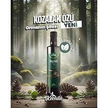 Renas Store Kechila Kozalak Özü Naneli 700 G, Nane Aromalı Kozalak Özlü Yoğun Kıvamlı Karışım