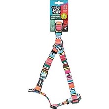 Renas Store M-Pets Urban Style Jazz Stripes Göğüs Tasması M