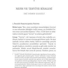 Bg Store Insan Nasıl Insan Oldu?: El-Fusul Fi’l-Es’ile Ve’l-Ecvibe