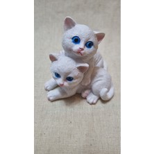Los Polyester Kedi 2'li Biblo
