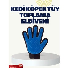 Renas Store Yumuşak Silikonlu Kedi ve Köpek Tüy Toplama Eldiveni – Masaj Etkili Tüy Dökülme Önleyici